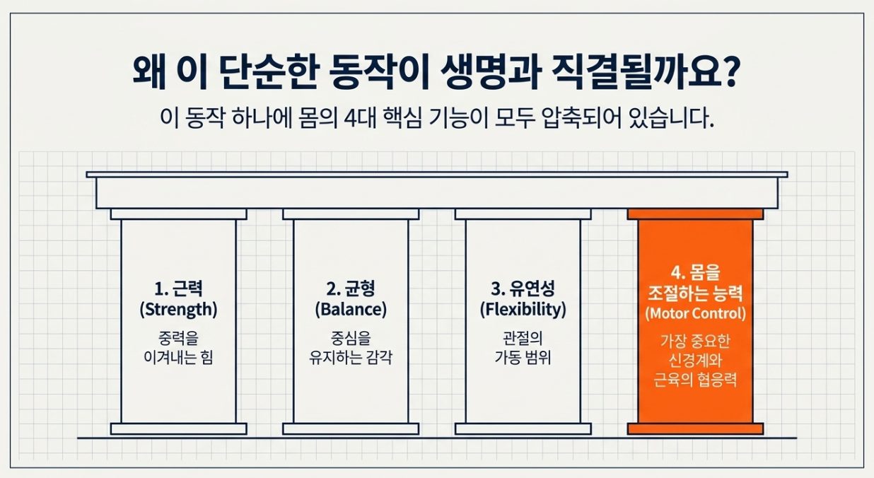 앉았다 일어나기 테스트에 들어 있는 네 가지 핵심 기능 — 근력, 균형, 유연성, 몸 조절